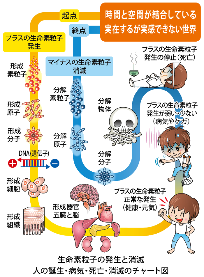生命素粒子の発生と消滅。人の誕生・病気・死亡・消滅のチャート図